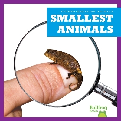 Smallest Animals - Lily Austen