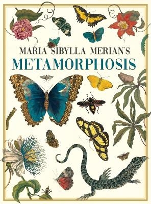 Maria Sibylla Merian's Metamorphosis - 