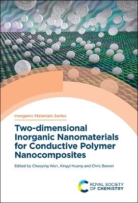 Two-dimensional Inorganic Nanomaterials for Conductive Polymer Nanocomposites - 