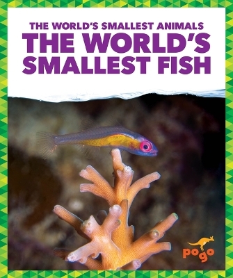 The World's Smallest Fish - Becca Becker