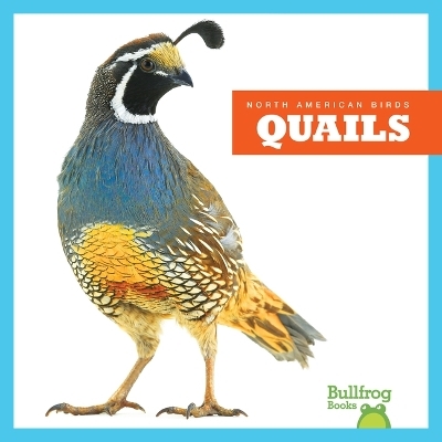 Quails - Rachel Grack