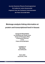 Bioimage analysis linking information at protein and transcriptional level in tissues - Ralf Köhler