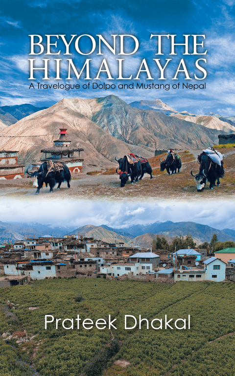 Beyond the Himalayas -  Prateek Dhakal