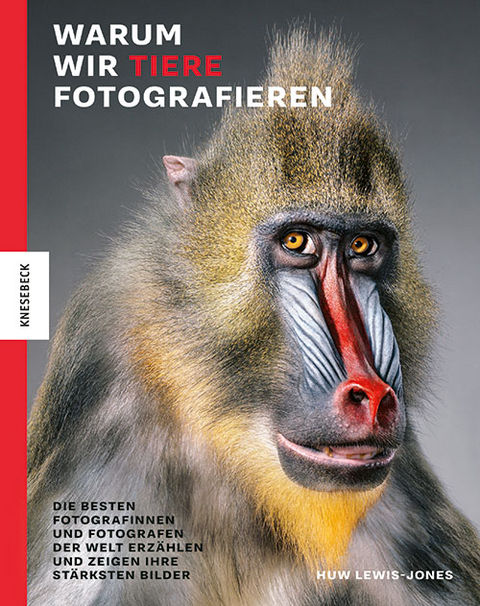 Warum wir Tiere fotografieren - Huw Lewis-Jones