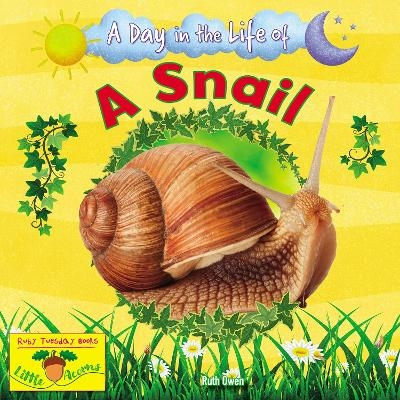 A Snail - Ruth Owen