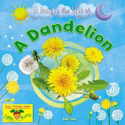 A Dandelion - Ruth Owen