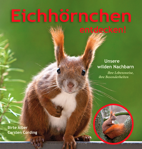 Eichhörnchen entdecken! - Birte Alber, Carsten Cording