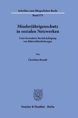 Minderjährigenschutz in sozialen Netzwerken - Christina Brandt