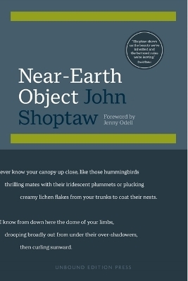 Near-Earth Object - John Shoptaw