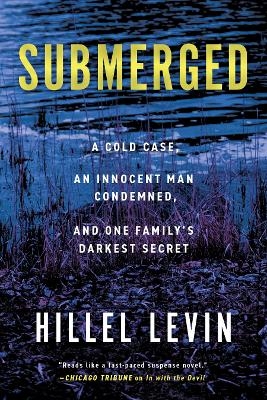 Submerged - Hillel Levin