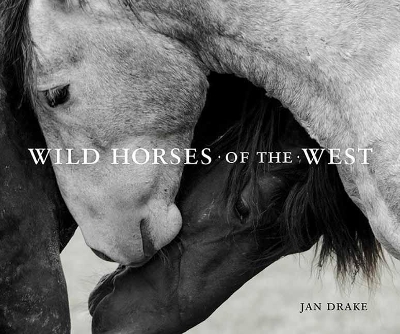 Wild Horses of the West - Jan Drake