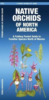 Native Orchids of North America - 