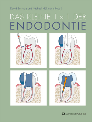 Das kleine 1x1 der Endodontie - David Sonntag; Michael Hülsmann