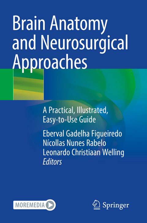 Brain Anatomy and Neurosurgical Approaches - 