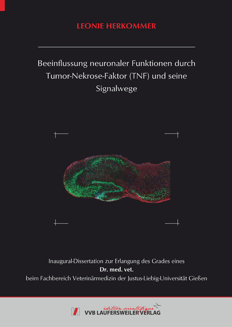 Beeinflussung neuronaler Funktionen durch Tumor-Nekrose-Faktor (TNF) und seine Signalwege - Leonie Herkommer