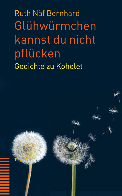 Glühwürmchen kannst du nicht pflücken - Ruth Näf Bernhard