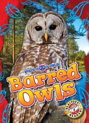 Barred Owls - Rachael Barnes