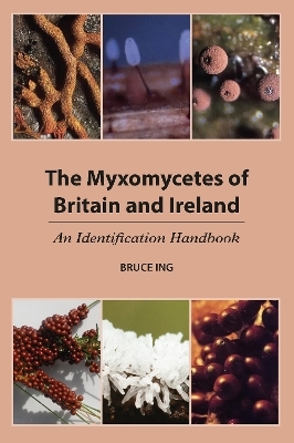 The Myxomycetes of Britain and Ireland - Bruce Ing