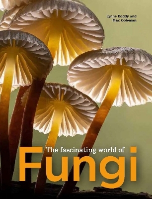 Fascinating World of Fungi - 