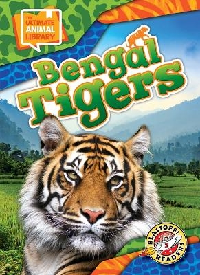 Bengal Tigers - Chris Bowman