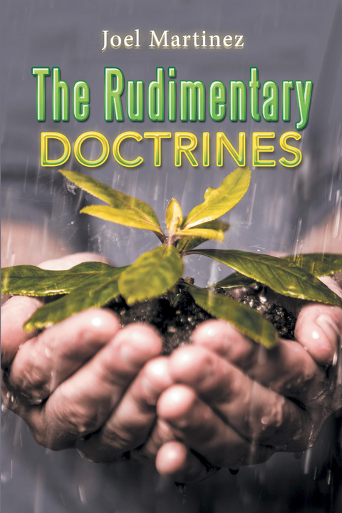 Rudimentary Doctrines -  Joel Martinez