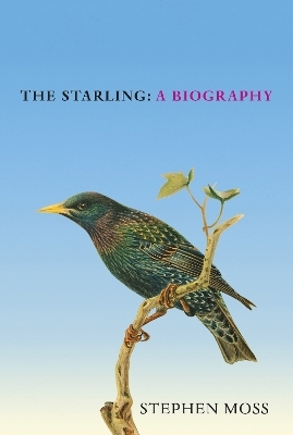 The Starling - Stephen Moss