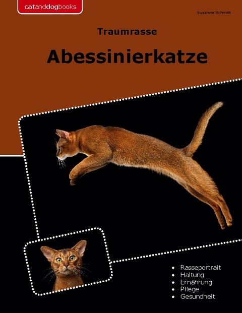 Traumrasse Abessinierkatze - Susanne Schmitt