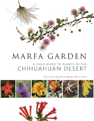 Marfa Garden - Jim Martinez, Mary Lou Saxon, Jim Fissel, Martha Hughes