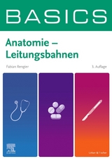 BASICS Anatomie - Leitungsbahnen - Fabian Rengier