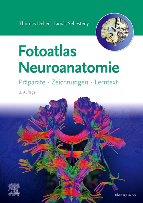 Fotoatlas Neuroanatomie - Thomas Deller, Tamás Sebestény, Katrin Eichler