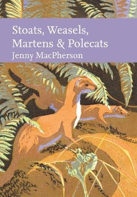 Stoats, Weasels, Martens and Polecats - Jenny MacPherson