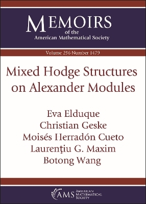 Mixed Hodge Structures on Alexander Modules - Eva Elduque, Christian Geske, Moises Herradon Cueto, Laurentiu G. Maxim, Botong Wang