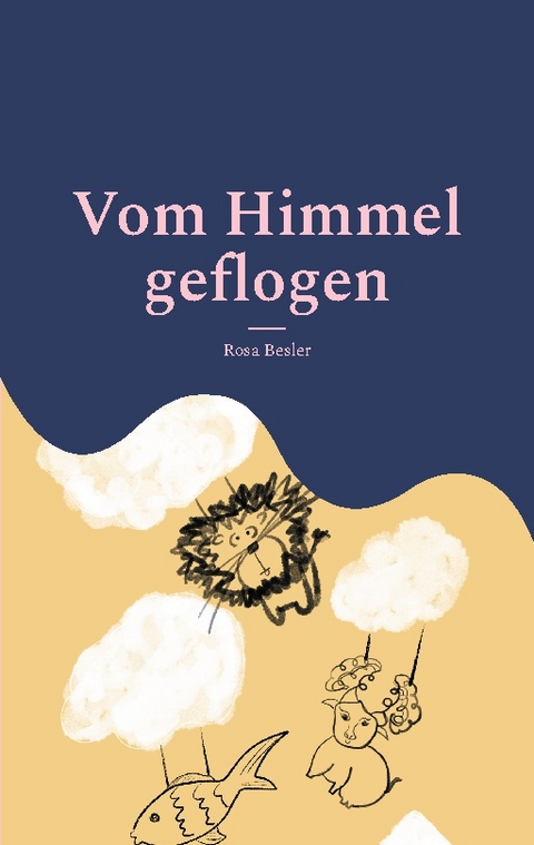 Vom Himmel geflogen - Rosa Besler