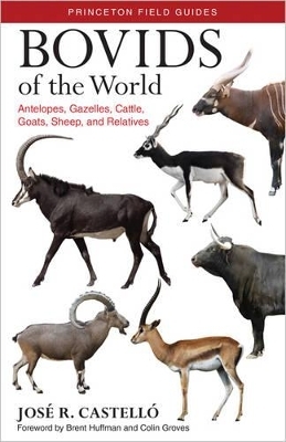 Bovids of the World - Dr. José R. Castelló