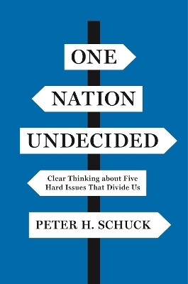 One Nation Undecided - Peter H. Schuck