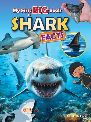 My First BIG book of SHARK Facts - Belinda Gallagher