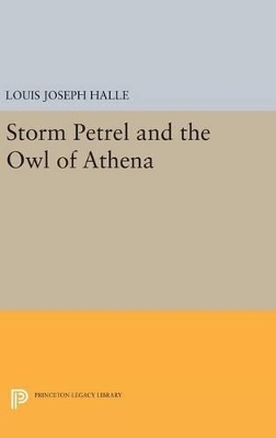 Storm Petrel and the Owl of Athena - Louis Joseph Halle