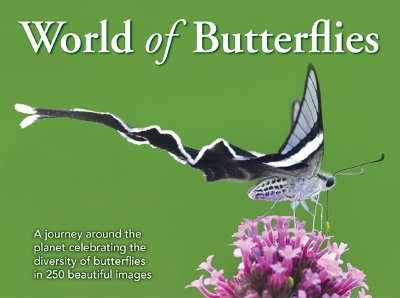 World of Butterflies - 