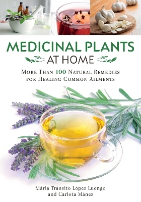 Medicinal Plants at Home - Mara Trnsito Lpez Luengo, Carlota Mez