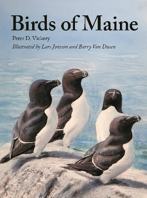 Birds of Maine - Peter Vickery, Charles Duncan, Jeffrey V. Wells, William J. Sheehan