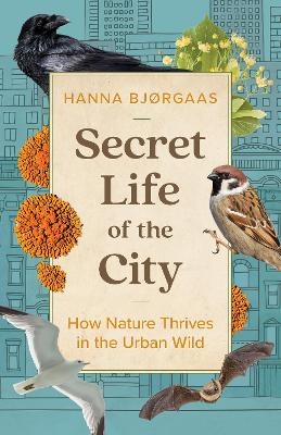 Secret Life of the City - Hanna Hagen Bjrgaas