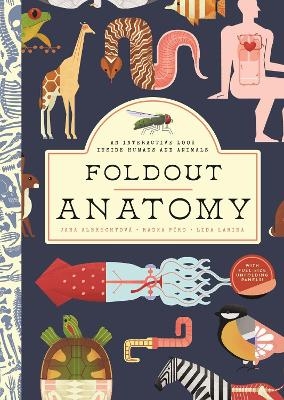 Foldout Anatomy - Jana Albrechtova