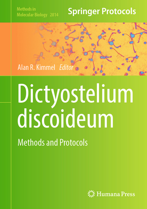 Dictyostelium discoideum - 