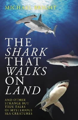 The Shark That Walks on Land - Michael Bright