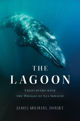 The Lagoon - James Michael Dorsey