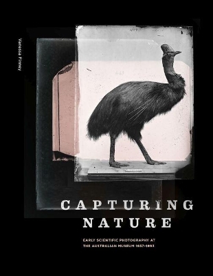 Capturing Nature - Vanessa Finney