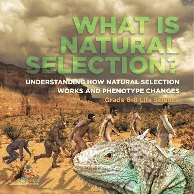 What is Natural Selection? Understanding How Natural Selection Works and Phenotype Changes Grade 6-8 Life Science -  Baby Professor