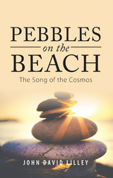 Pebbles on the Beach - JOHN DAVID LILLEY