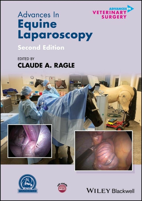 Advances in Equine Laparoscopy - 