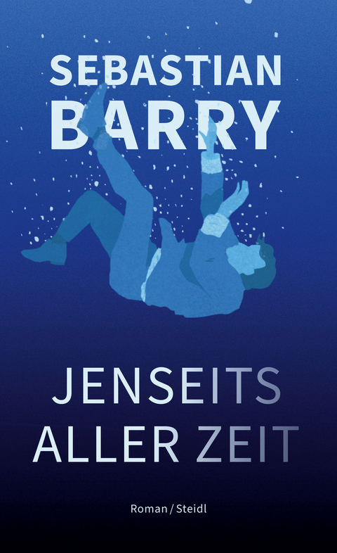 Jenseits aller Zeit - Sebastian Barry